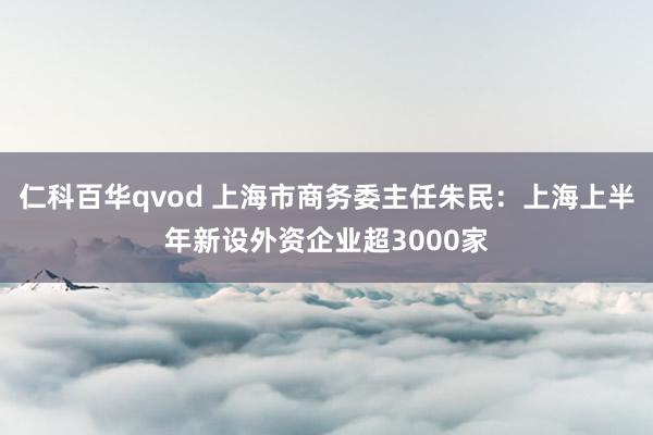 仁科百华qvod 上海市商务委主任朱民：上海上半年新设外资企业超3000家