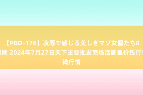 【PBD-176】凌辱で感じる美しきマゾ女優たち8時間 2024年7月27日天下主要批发商场活鲫鱼价钱行情