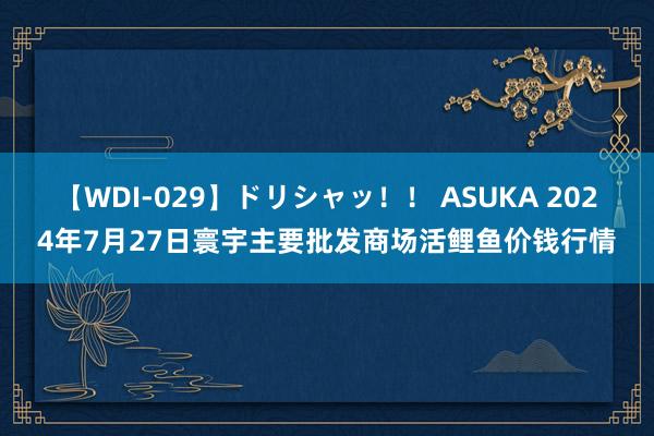 【WDI-029】ドリシャッ！！ ASUKA 2024年7月27日寰宇主要批发商场活鲤鱼价钱行情