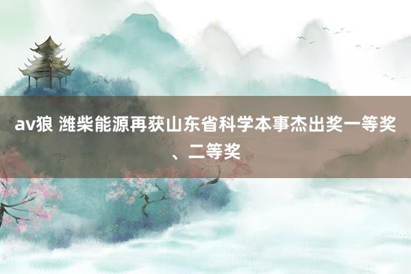 av狼 潍柴能源再获山东省科学本事杰出奖一等奖、二等奖