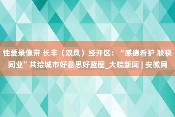 性爱录像带 长丰（双凤）经开区：“感德看护 联袂同业”共绘城市好意思好蓝图_大皖新闻 | 安徽网