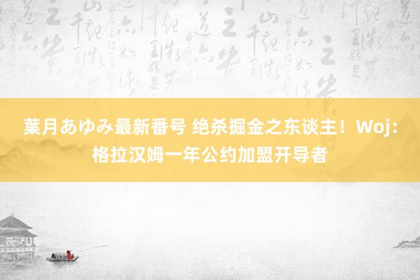 葉月あゆみ最新番号 绝杀掘金之东谈主！Woj：格拉汉姆一年公约加盟开导者