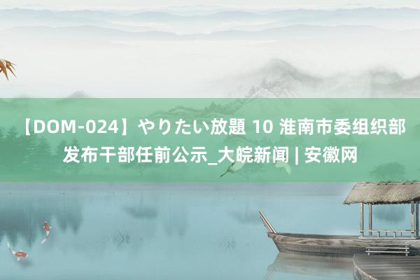 【DOM-024】やりたい放題 10 淮南市委组织部发布干部任前公示_大皖新闻 | 安徽网