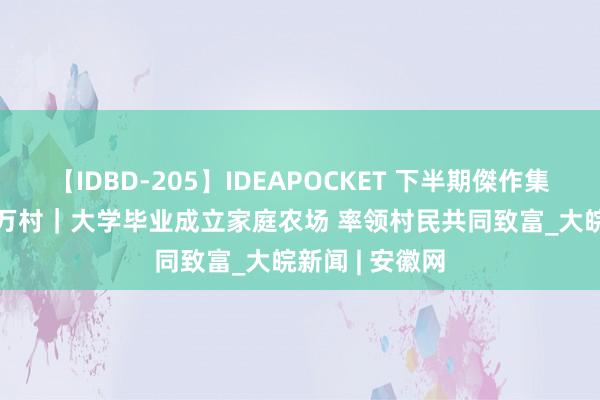 【IDBD-205】IDEAPOCKET 下半期傑作集2009 万企兴万村｜大学毕业成立家庭农场 率领村民共同致富_大皖新闻 | 安徽网