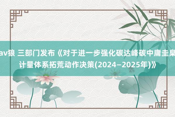 av狼 三部门发布《对于进一步强化碳达峰碳中庸圭臬计量体系拓荒动作决策(2024—2025年)》