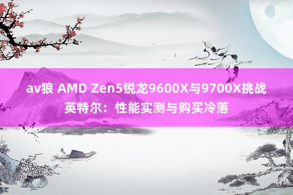 av狼 AMD Zen5锐龙9600X与9700X挑战英特尔：性能实测与购买冷落