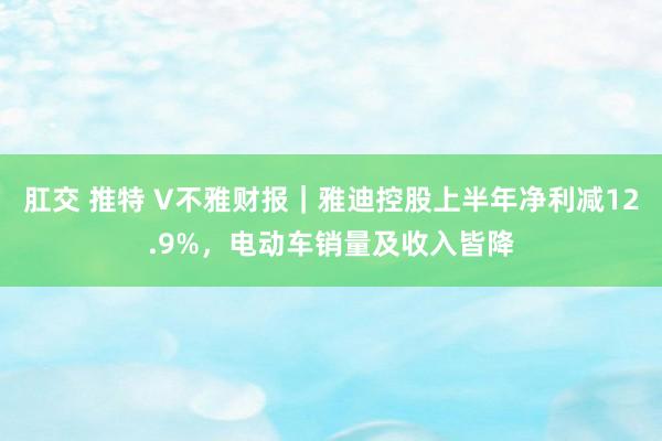 肛交 推特 V不雅财报｜雅迪控股上半年净利减12.9%，电动车销量及收入皆降