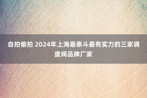 自拍偷拍 2024年上海最泰斗最有实力的三家调度阀品牌厂家