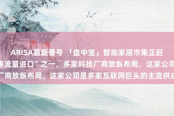 ARISA最新番号 「盘中宝」智能家居市集正赶快扩展，这类硬件为“要害流量进口”之一，多家科技厂商放纵布局，这家公司是多家互联网巨头的主流供应商