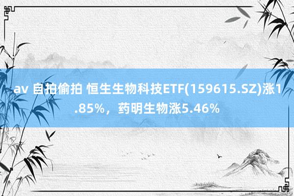 av 自拍偷拍 恒生生物科技ETF(159615.SZ)涨1.85%，药明生物涨5.46%