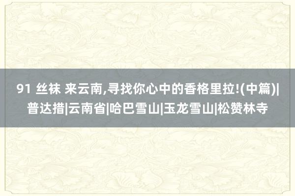 91 丝袜 来云南，寻找你心中的香格里拉!(中篇)|普达措|云南省|哈巴雪山|玉龙雪山|松赞林寺