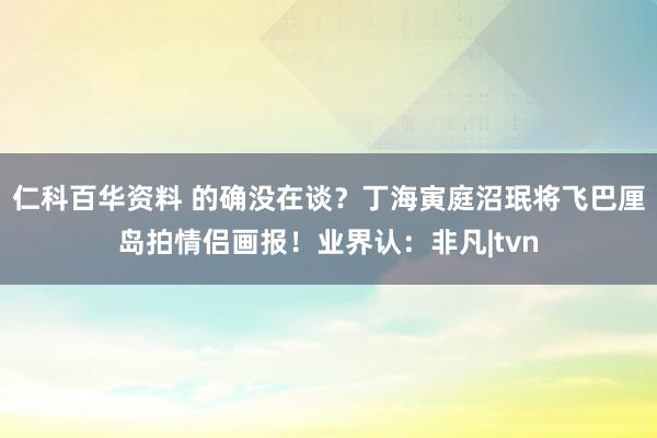 仁科百华资料 的确没在谈？丁海寅庭沼珉将飞巴厘岛拍情侣画报！业界认：非凡|tvn