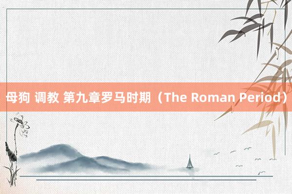 母狗 调教 第九章　罗马时期（The Roman Period）