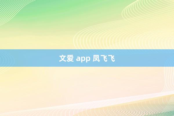 文爱 app 凤飞飞