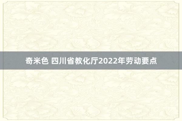 奇米色 四川省教化厅2022年劳动要点